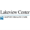 Lakeview Center Inc.