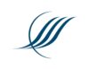 Hampton - Newport News Community Services Board